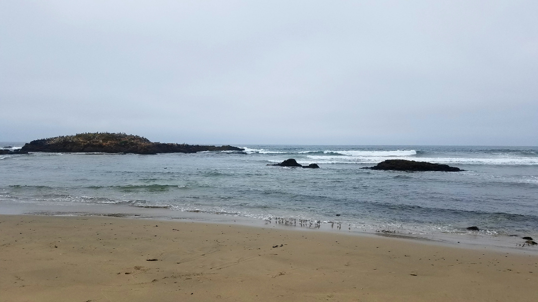 Picture of 180819 Group Beach Trip